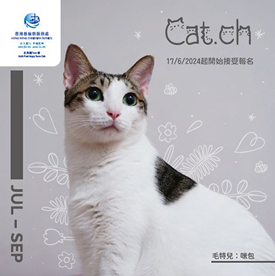 Cat.ch - 2024年7月至9月