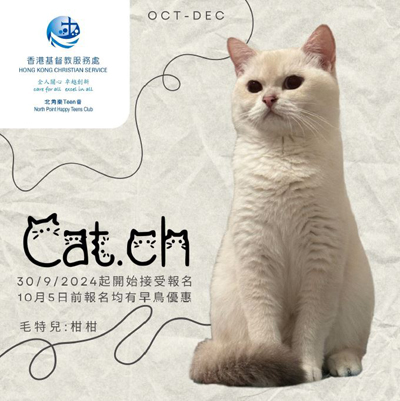 Cat.ch - 2024年10月至12月